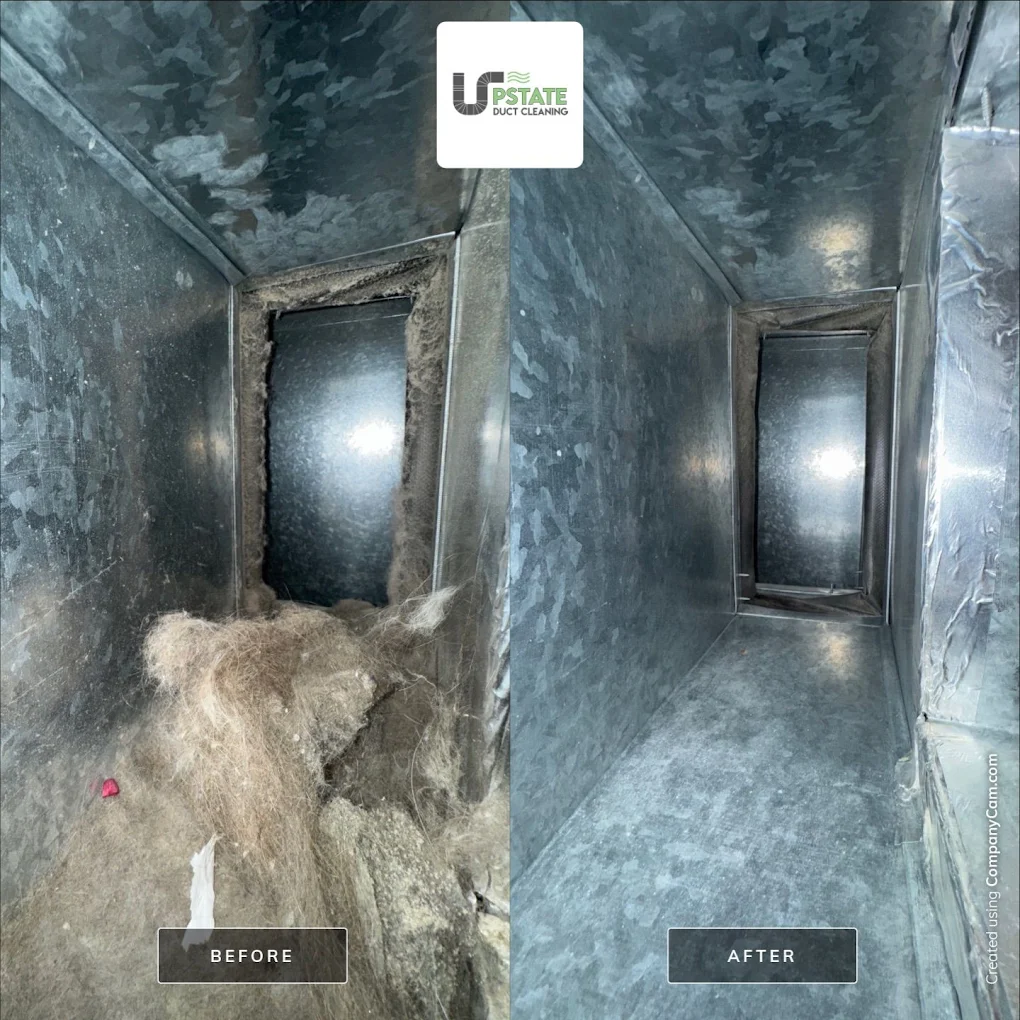 Before After 5